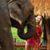 Camila Barbosa's profile image