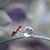 Patricia Reick's profile image