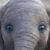 Laura Bortner's profile image