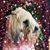 Robin Lentzkow's profile image