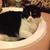 Deborah Carpenter Parks's profile image
