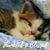 Linda G Miller's profile image