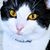Mary Hefner Parks's profile image