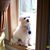 Mary Miller's profile image