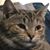 Shirley Fone Norr's profile image
