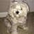 Cameron Horne Richards's profile image