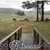 Maxine Bramlett Lindsey's profile image