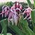 Kathy Sproger's profile image
