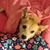 Sheree Khollman Burns's profile image