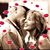 Barb Tucker Pennington's profile image