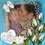 Tiffany Smith's profile image