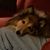 Kathleen Marie Perkins's profile image