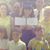 Karen Raymond's profile image