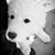 Polly Martinez's profile image