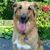Chelly Dufour's profile image