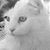 Teena Dugan's profile image