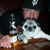 Frankie Bulleri's profile image