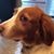 Connie Hass Wark's profile image