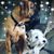 Diane Dailey Talley's profile image