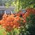 Eudene Jones Freuler's profile image