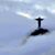 Kimberly Seely Rumsey's profile image