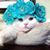 Susan Charlotte's profile image