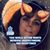 Concetta Dane Grunmeier's profile image