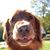 Mike Duman's profile image
