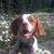 Ron Linde's profile image