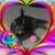 Cheryl Clark's profile image