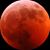 Leeann Carter's profile image