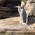 Linda Sprague's profile image