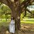 Belle Hernandez-Roberts's profile image