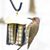Diane Stresing's profile image
