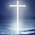 Anamaria Reynosa-Sanchez's profile image
