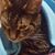 Karen Colgan's profile image