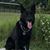 Rick Vade Bon Coeur's profile image