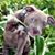 Chelsie Richards's profile image