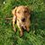Annie Niedercorn Stasiak's profile image
