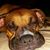 Julio Olivares's profile image