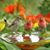 Susan Roy's profile image