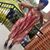 LaJoy Smith's profile image