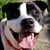 Michelle Stucky's profile image
