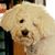 Rebecca Lay's profile image