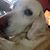Jeanne Gibson's profile image