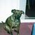 Rosiliana Wilder's profile image