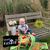 Elizabeth Devine's profile image