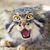 Ian Burford's profile image