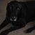 Kristine Weis Welch's profile image