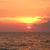Suzanne Francis Handlin's profile image